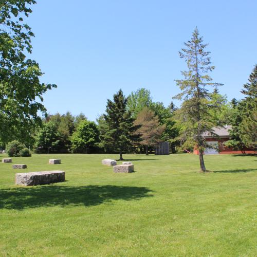 A grassy park with trees in the summer