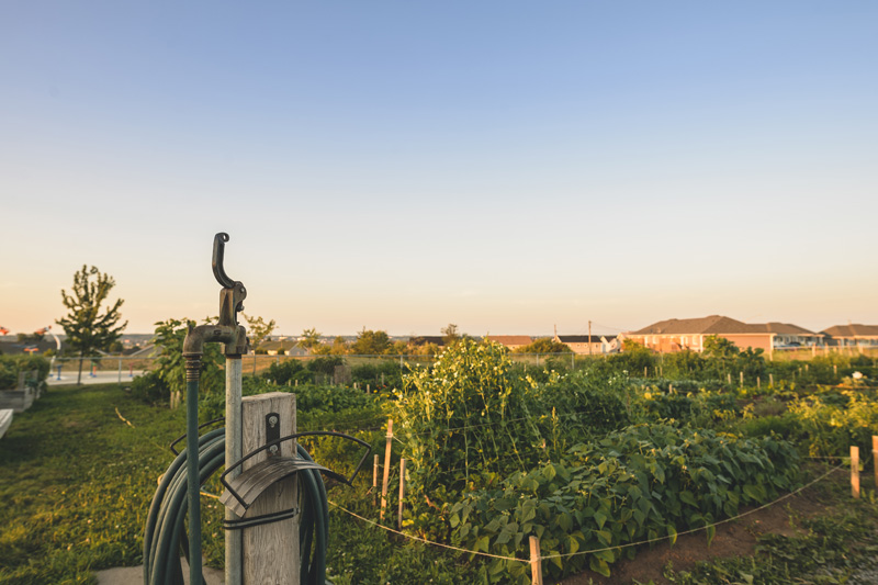 Riverview Community Garden