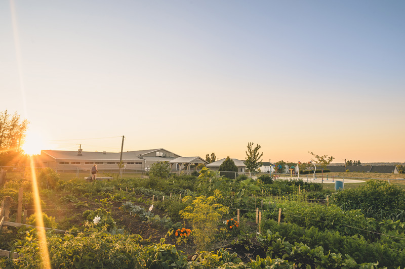 Riverview Community Garden