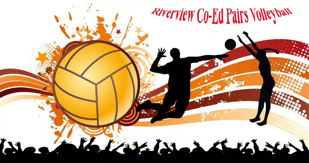 Volleyball with a male and female silhouette
