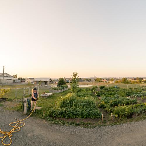 Panoramic view of a building and community garden next to it