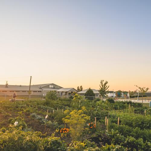 Coverdale Community Garden