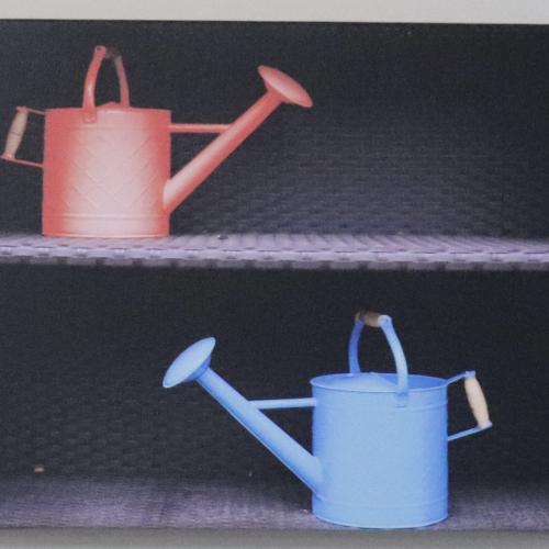 Photograph of watering cans