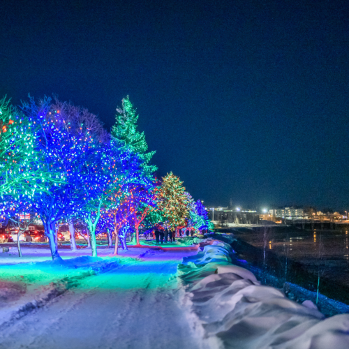 Holiday lights glisten on trees bordering the Riverfront Trail