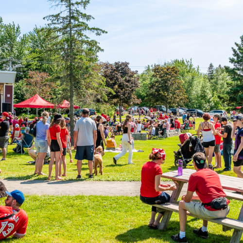 A group of people in a sunny park on Canada Day