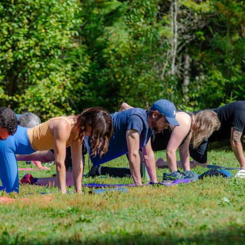 People on yoga mats in the park 