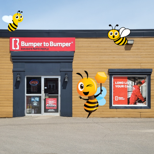 Bumper to bumper store front surrounded by cute bee graphics.