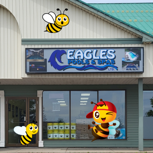Eagles Pools & Spas store front surrounded by cute bee graphics.