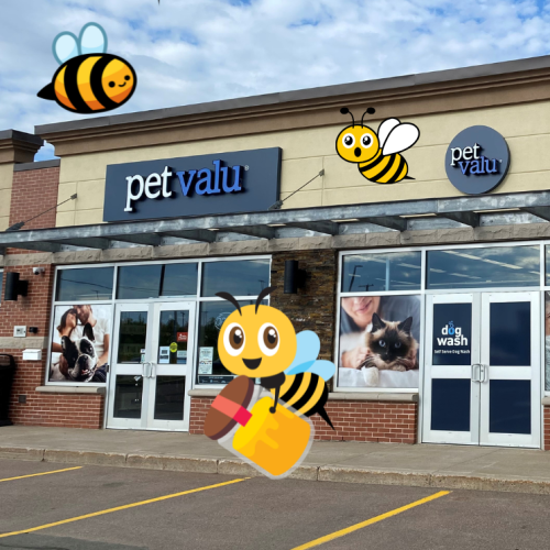 Pet Valu store front surrounded by cute bee graphics.