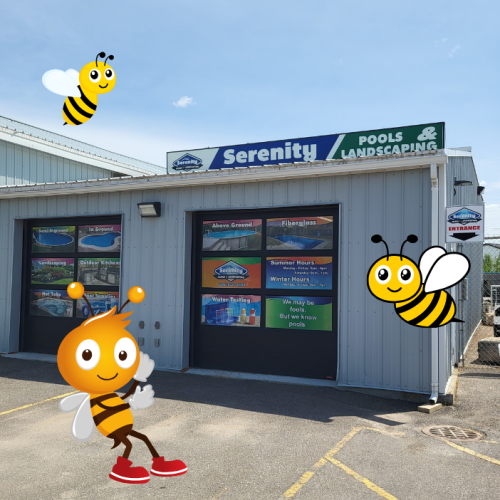 Serenity Pools & Landscaping store front surrounded by cute bee graphics.