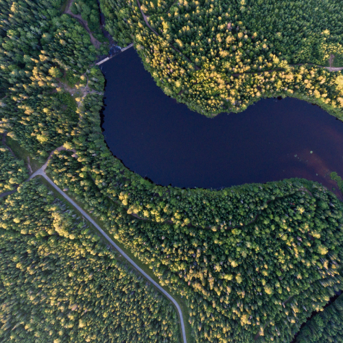 Aerial view of Mill Creek forest and resevoir