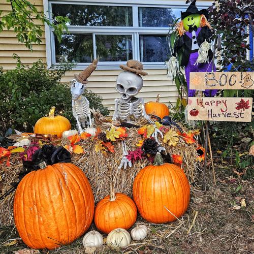 pumpkin display