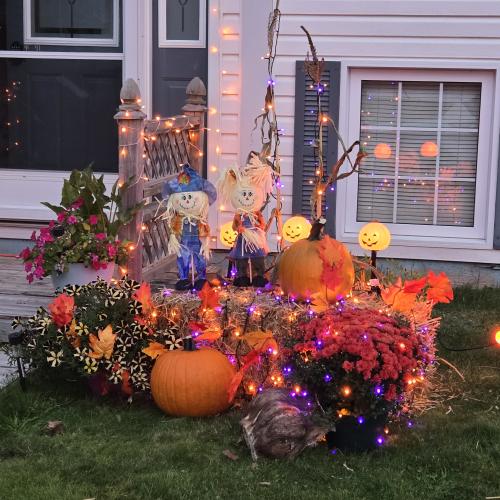 pumpkin display