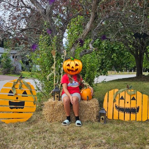 pumpkin display