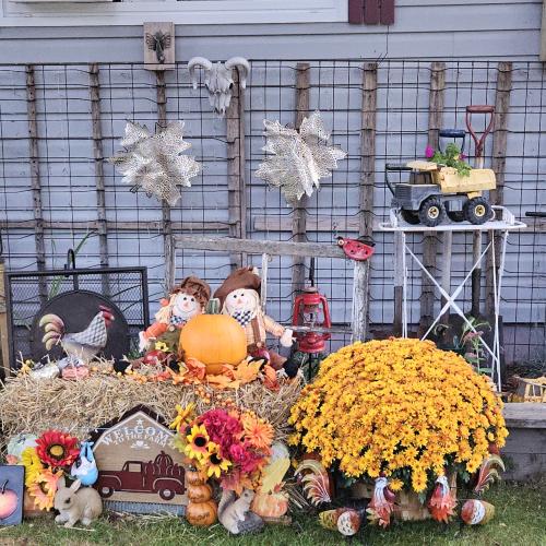pumpkin display