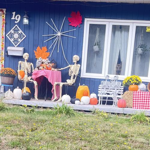 pumpkin display