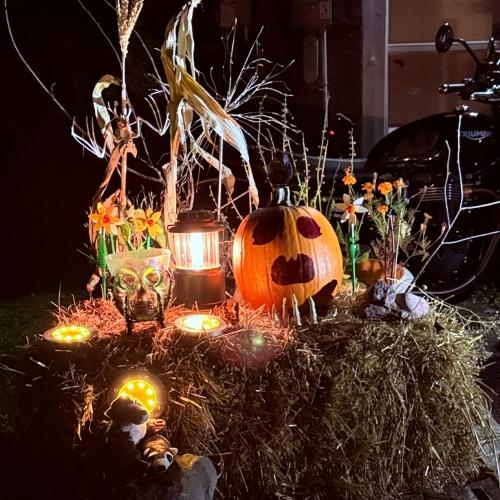 pumpkin display