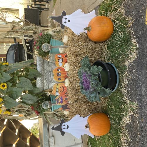 pumpkin display