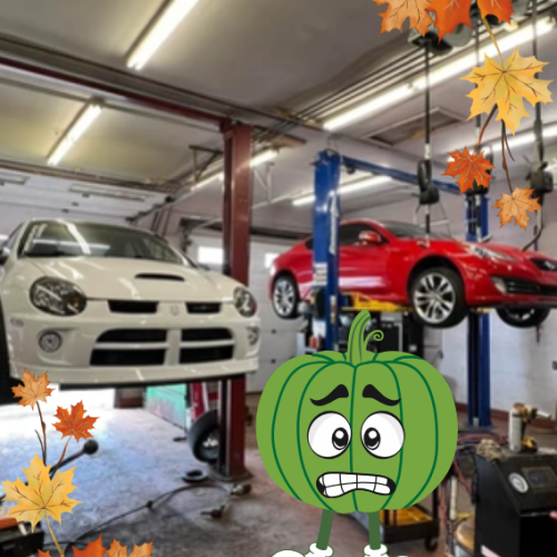 Pal at Apex Automotive