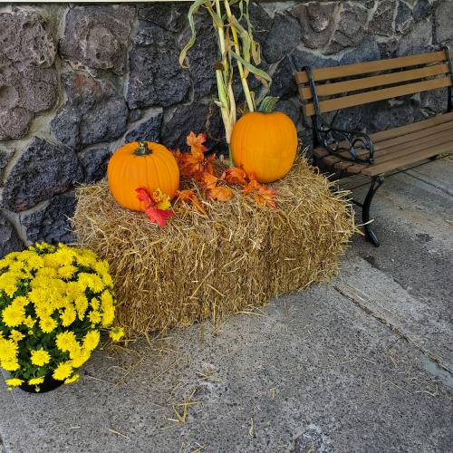 pumpkin display
