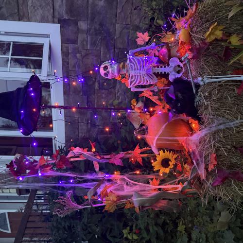 pumpkin display