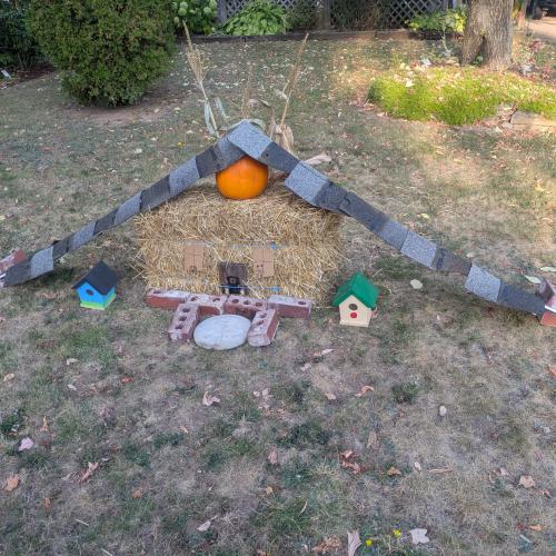 pumpkin display