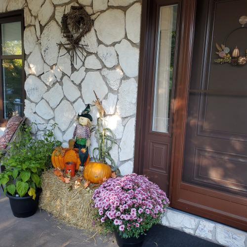 pumpkin display