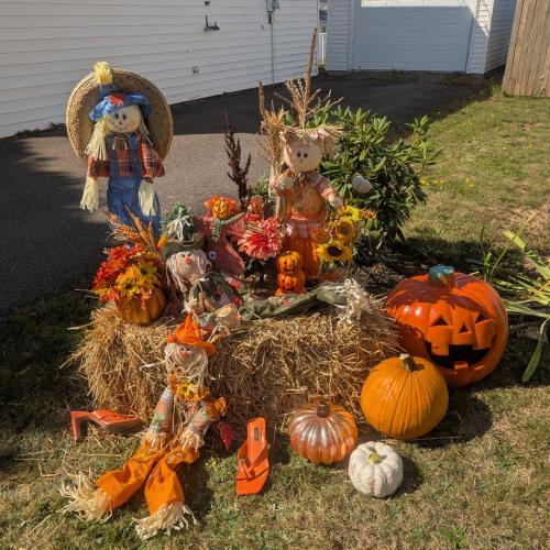 pumpkin display