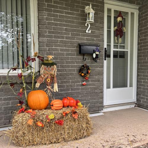 pumpkin display