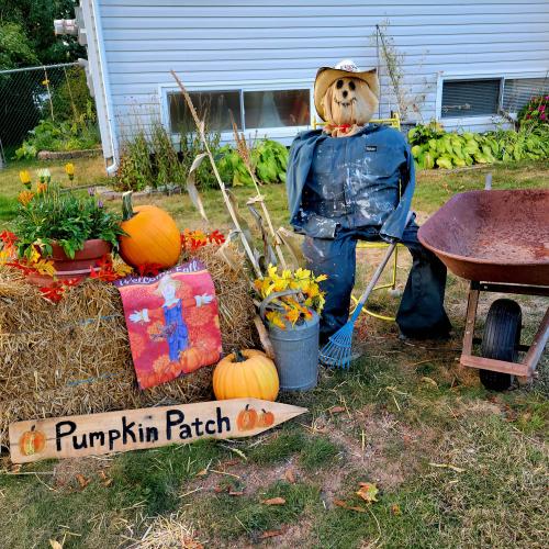 pumpkin display