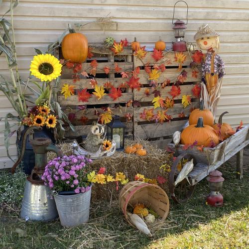 pumpkin display