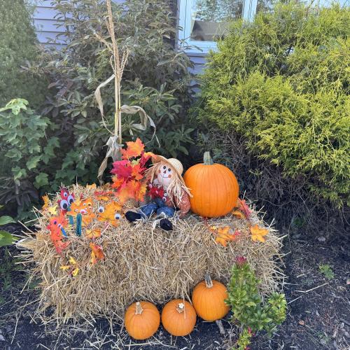 pumpkin display