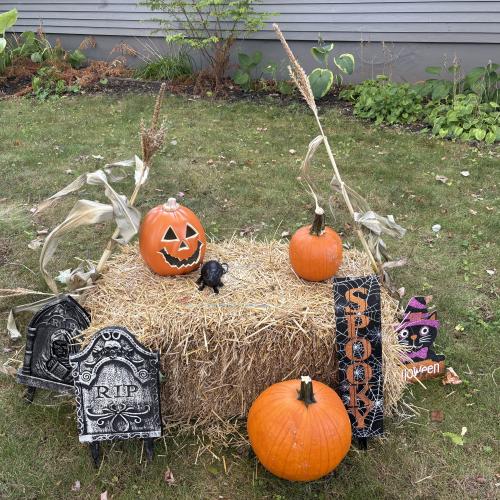 pumpkin display