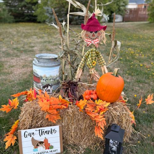 pumpkin display