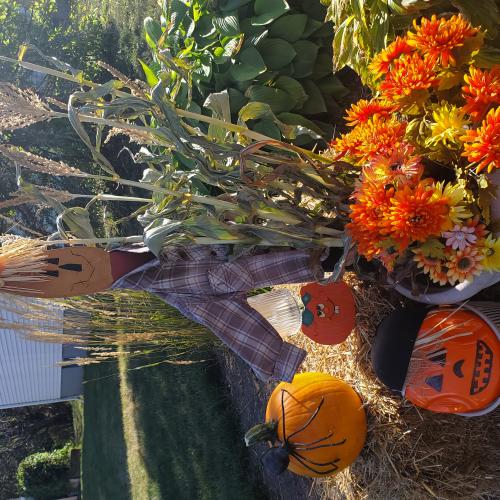pumpkin display