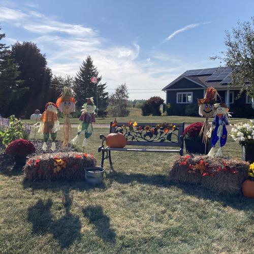 pumpkin display