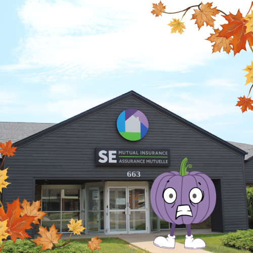 Pal at SE Mutual Insurance
