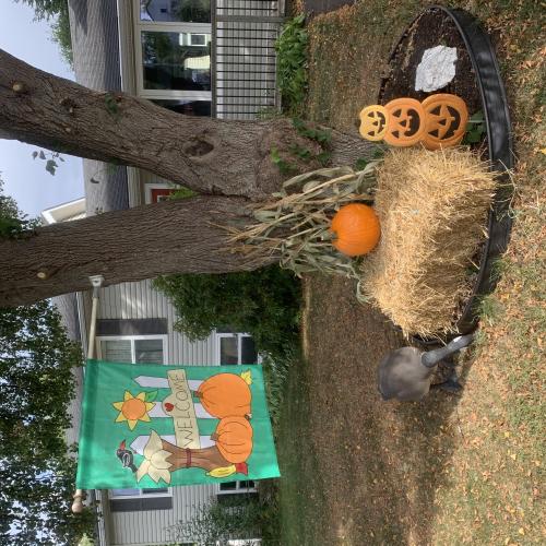 pumpkin display