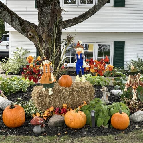 pumpkin display