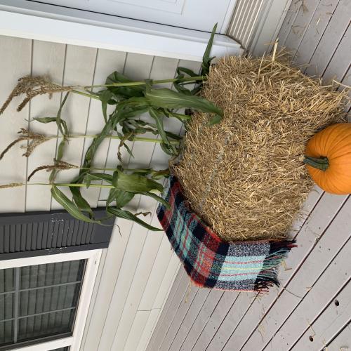 pumpkin display