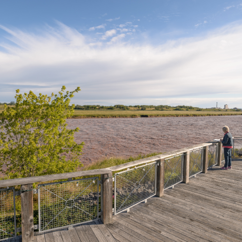 A boardwalk overlooking the petitcodiac river on a sunny day
