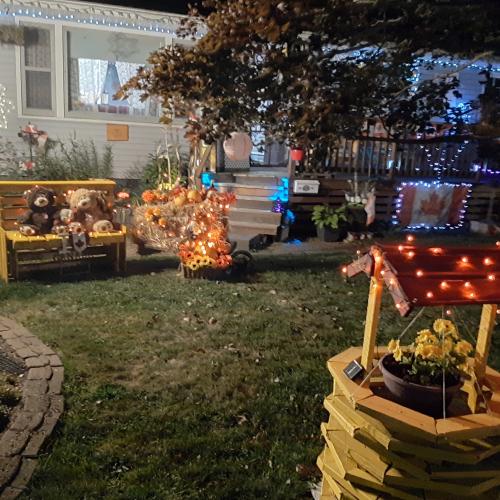 pumpkin display