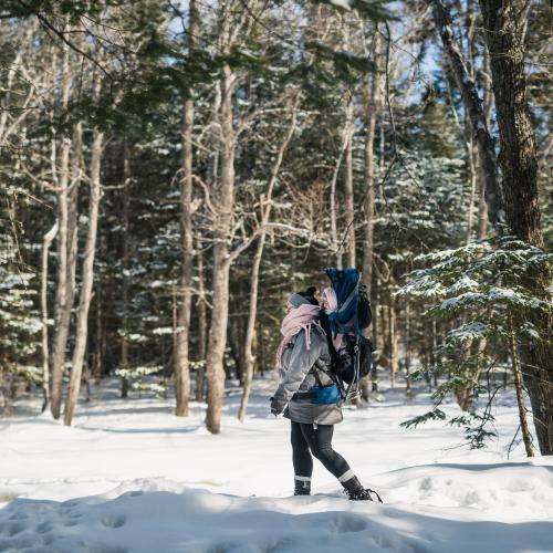 A woman hiking in the snowy woods with a baby in her backpack baby carrier