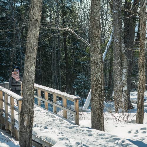 A woman hiking in the winter with baby backpack