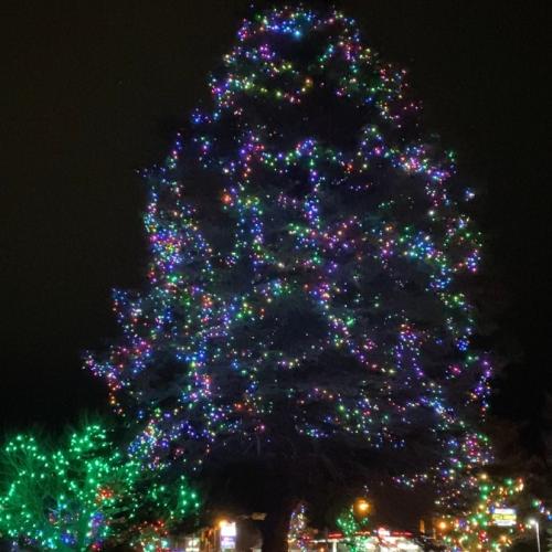 LED Tree