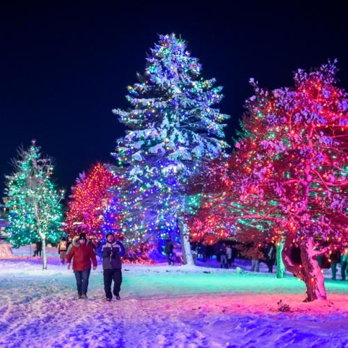 People walking on our trail