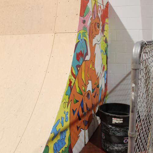 One of the youth murals at the Riverview Indoor Skatepark and Youth Centre