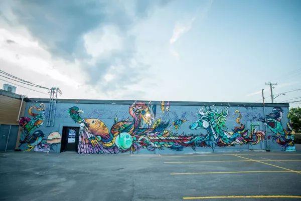 Mural showing vibrant multi-coloured birds