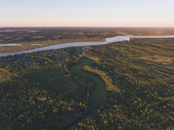 Aerial view of winding river surrounded by trees