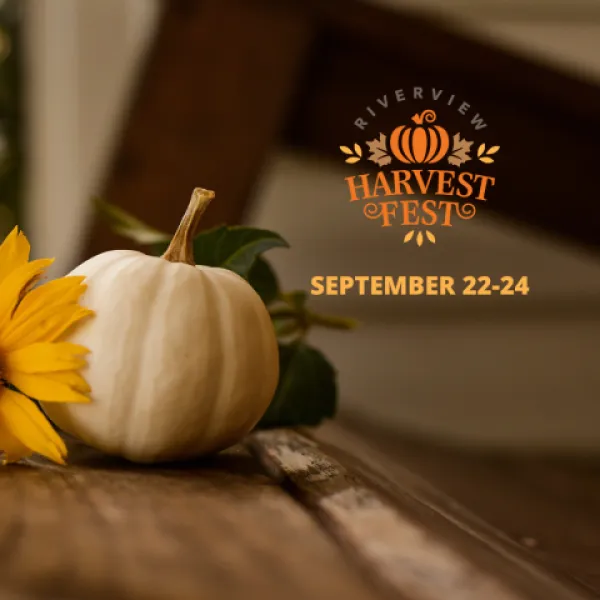 A white pumpkin and fall coloured flowers